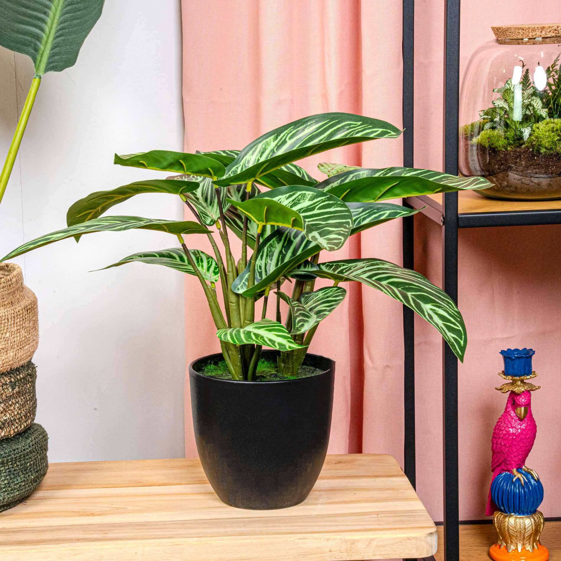 Plante Artificielle Calathea Zebrina Réaliste Pot Noir Déco Intérieur 42 cm - ComfortXL Green Living - Image 2