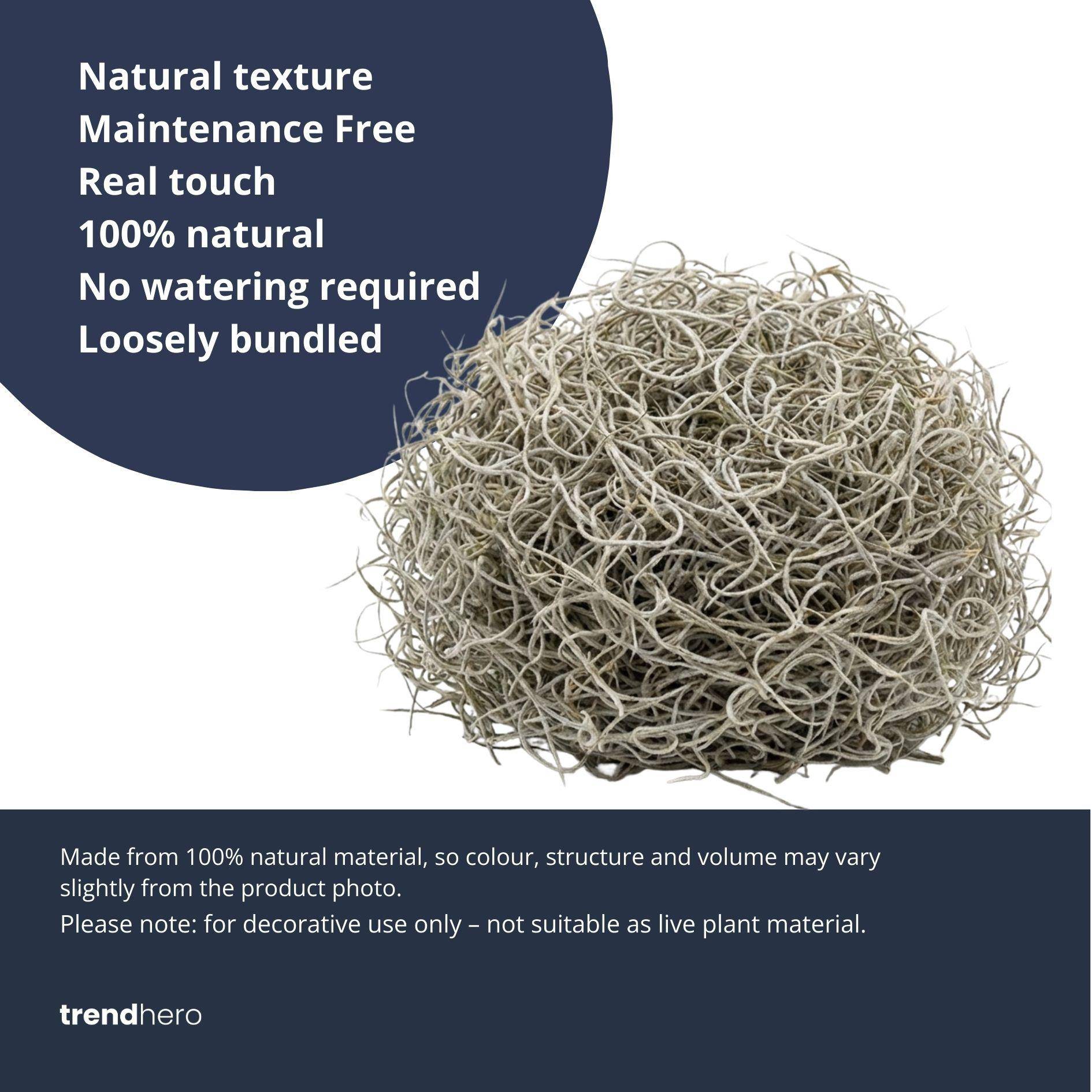 Mousse de tillandsia séchée - 1 L - Image 3