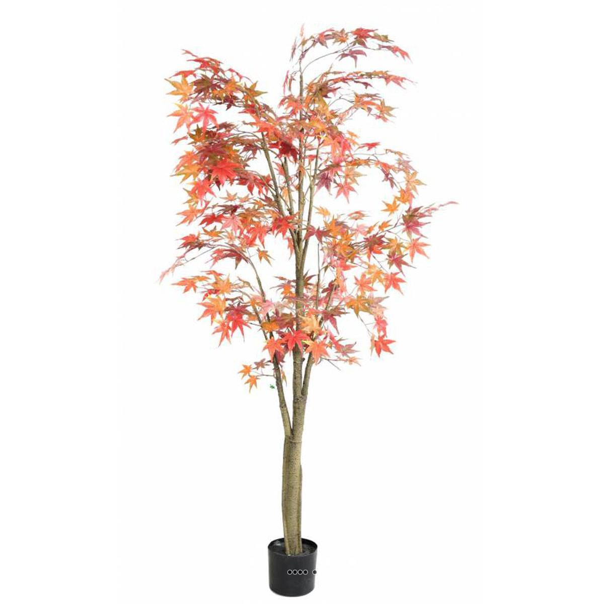Artificielles - Aralia Arbre Artificiel H 180 cm Automne - dimhaut: H 180 cm - couleur: Automne