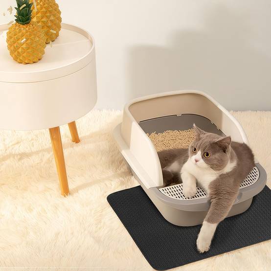 Tapis de Litière pour Chat à Double Couche en Nid d'Abeille - Image 6