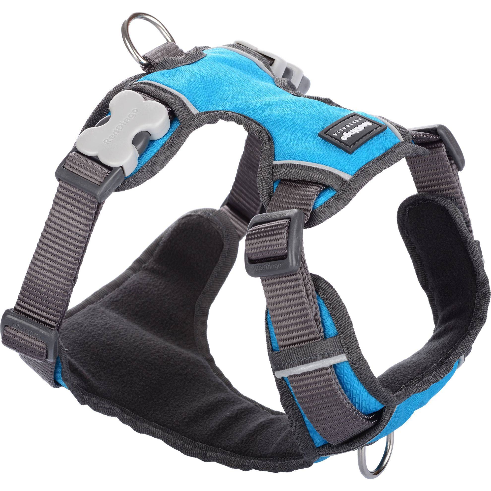 Harnais chien Red Dingo rembourré Turquoise Taille : T3 RED DINGO