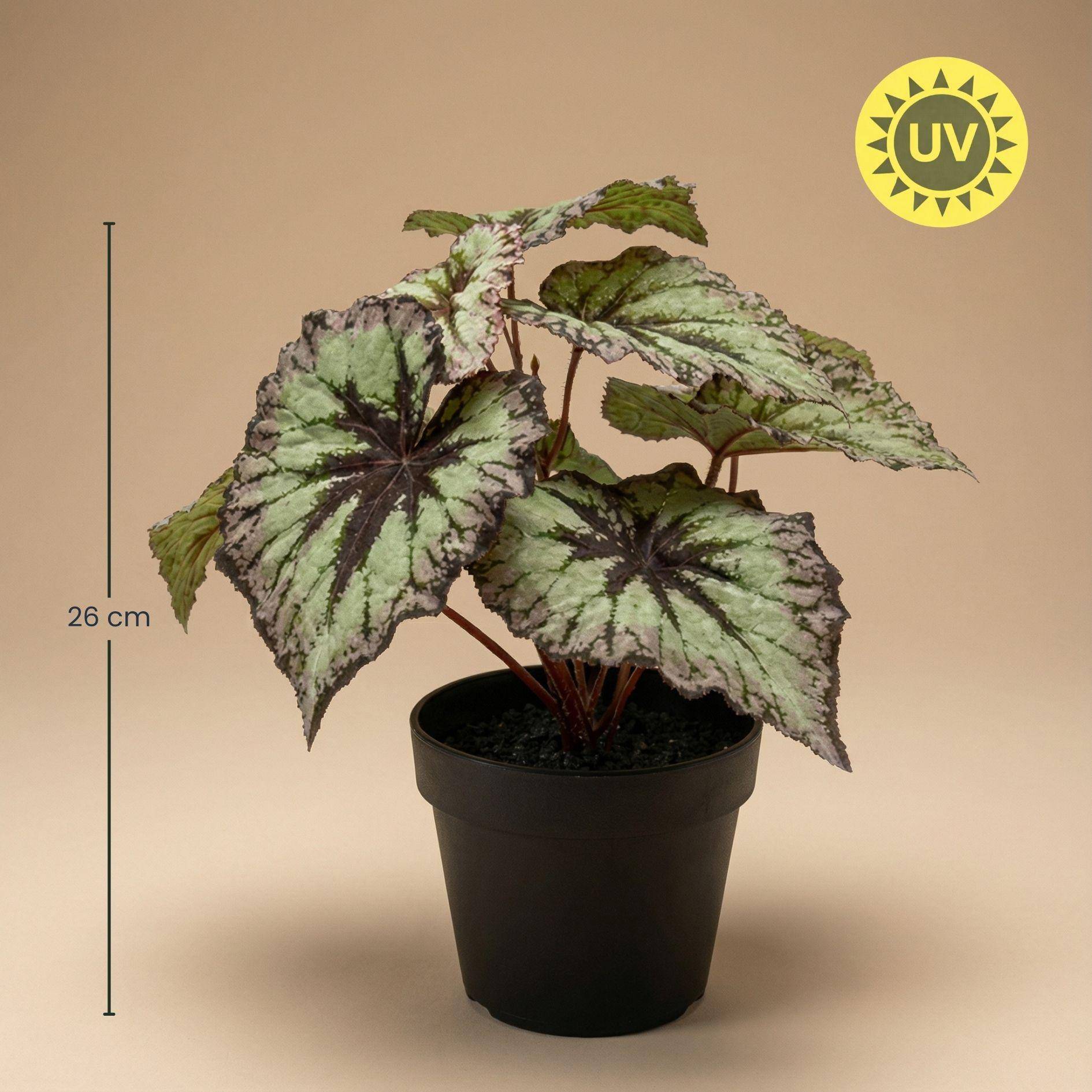 Begonia 26 cm - Ø10cm - Plante artificielle - Image 5