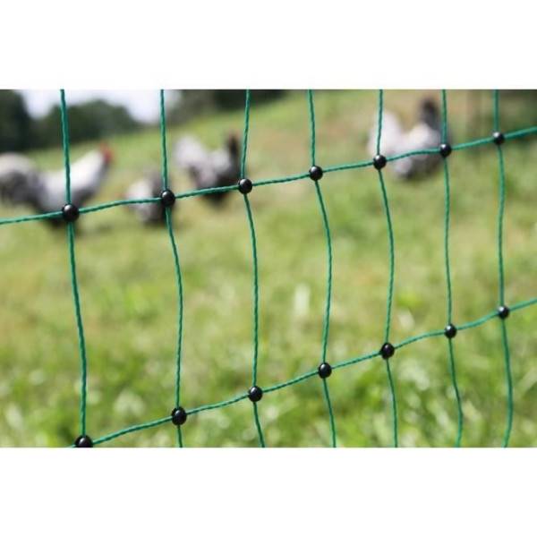KERBL - Filet pour les poules 50 m - 106 cm - double pointe - vert - non électrique - Image 4