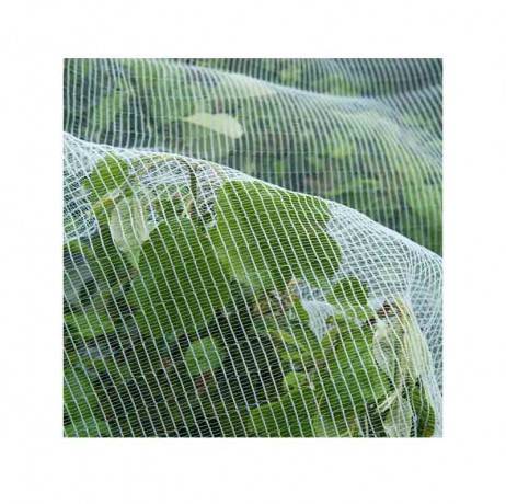 Filet anti-insectes arbres fruitiers 5,20 x 5m - Image 2