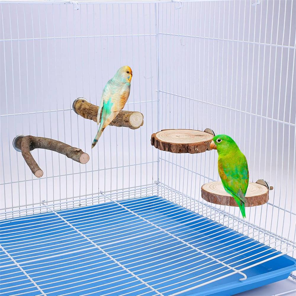 DtopbuyAge - Perchoirs en bois naturel pour cage à oiseaux DtopbuyAge - Image 6