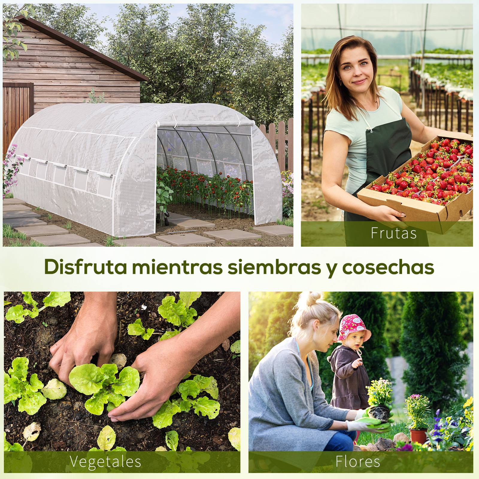 Serre Tunnel de Jardin XXL 18m² Acier Galvanisé avec 12 Fenêtres pour Grandes Cultures 6x3x2 m Blanc - ComfortXL Outdoor Living - Image 8