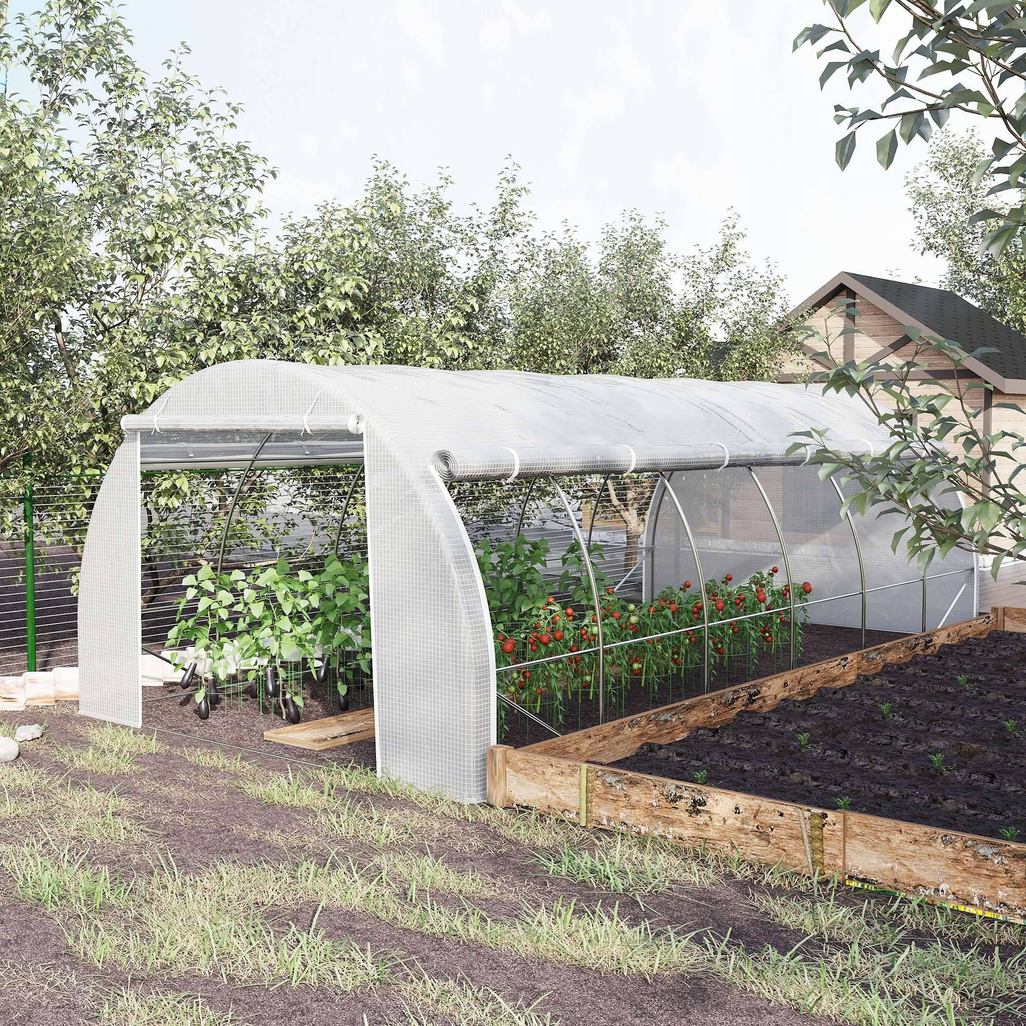 Serre Tunnel de Jardin XXL 18m² Acier Galvanisé avec 12 Fenêtres pour Grandes Cultures 6x3x2 m Blanc - ComfortXL Outdoor Living - Image 4