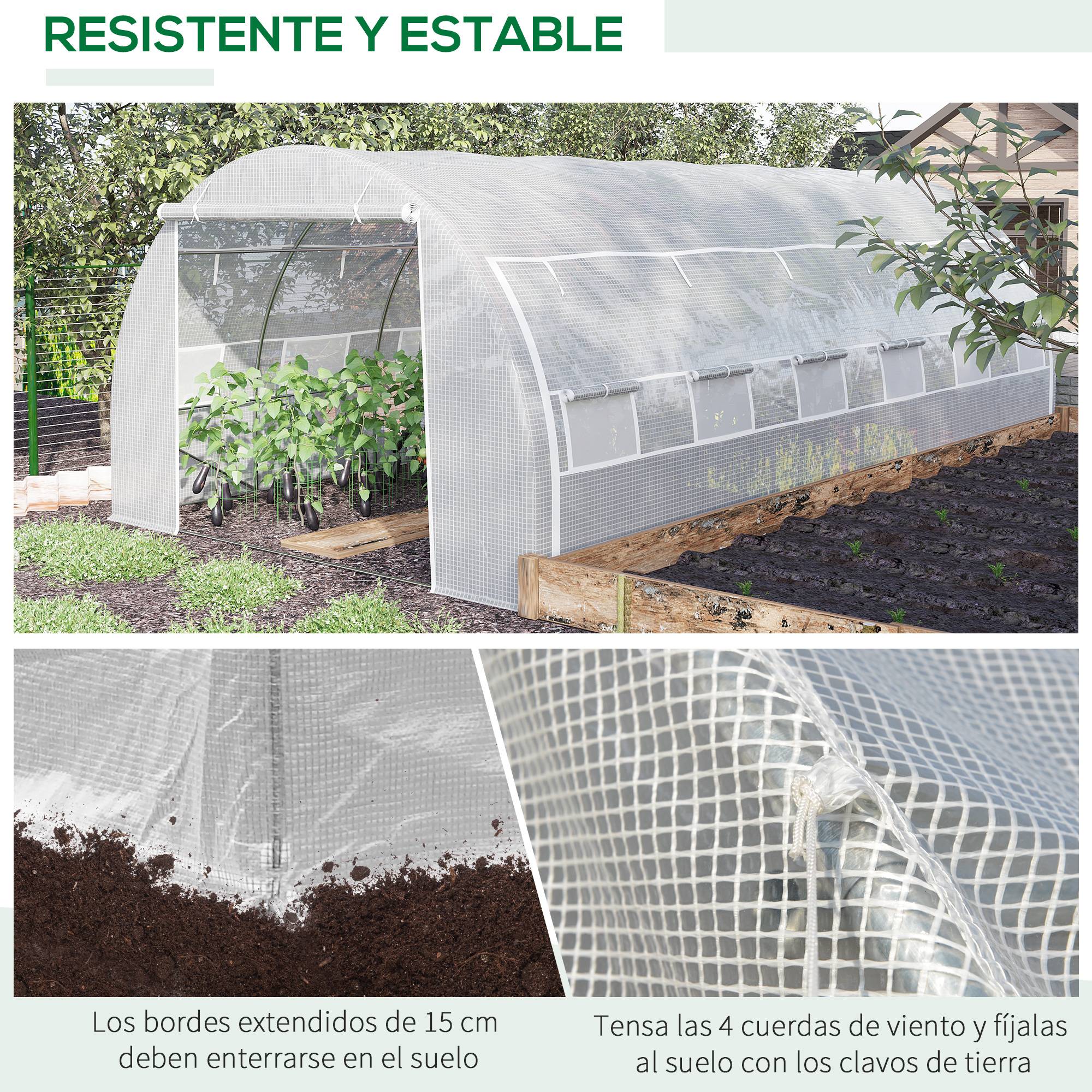 Serre Tunnel de Jardin XXL 18m² Acier Galvanisé avec 12 Fenêtres pour Grandes Cultures 6x3x2 m Blanc - ComfortXL Outdoor Living - Image 9