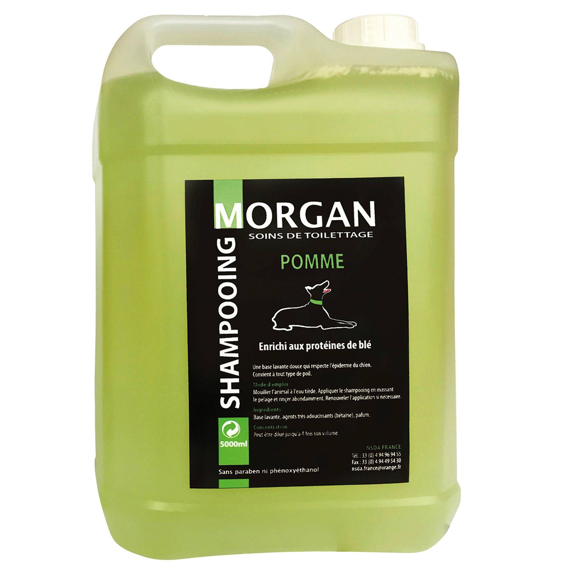 Shampoing protéiné Pomme Morgan : 5 litres MORGAN
