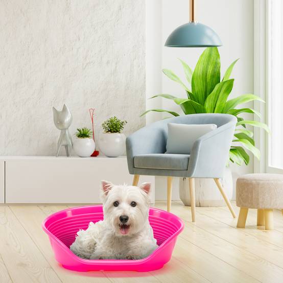 Ferplast - FERPLAST - Panier Chien Panier Chat - Lit pour Chien en Plastique Small - 100% Plastique Recyclé - Lit pou Chat Lavable - Respirant Antidérapant - - Image 4