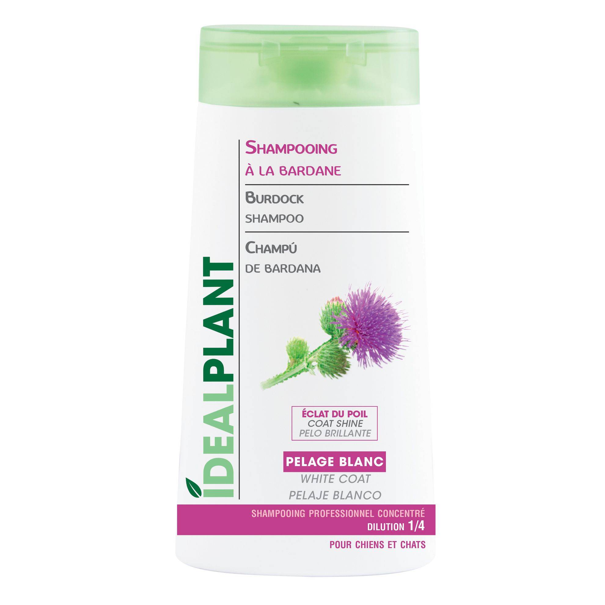 Shampoing blanc à la Bardane IdealPlant : 250ml IDEALPLANT