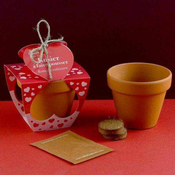 Radis et Capucine - Radis et Capucine - Pot en terre cuite - Amour - Rosier - 8 cm - Imagen 5
