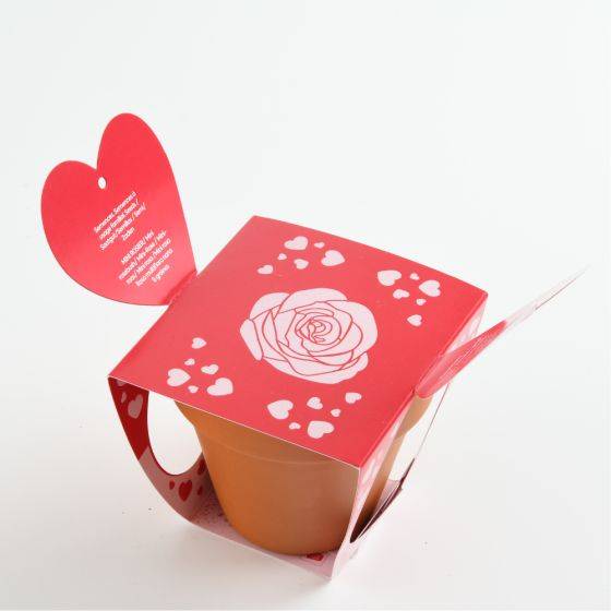 Radis et Capucine - Radis et Capucine - Pot en terre cuite - Amour - Rosier - 8 cm - Imagen 3