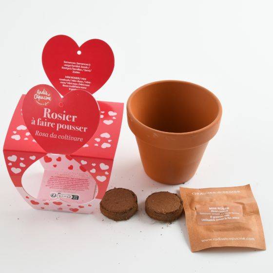 Radis et Capucine - Radis et Capucine - Pot en terre cuite - Amour - Rosier - 8 cm - Imagen 2