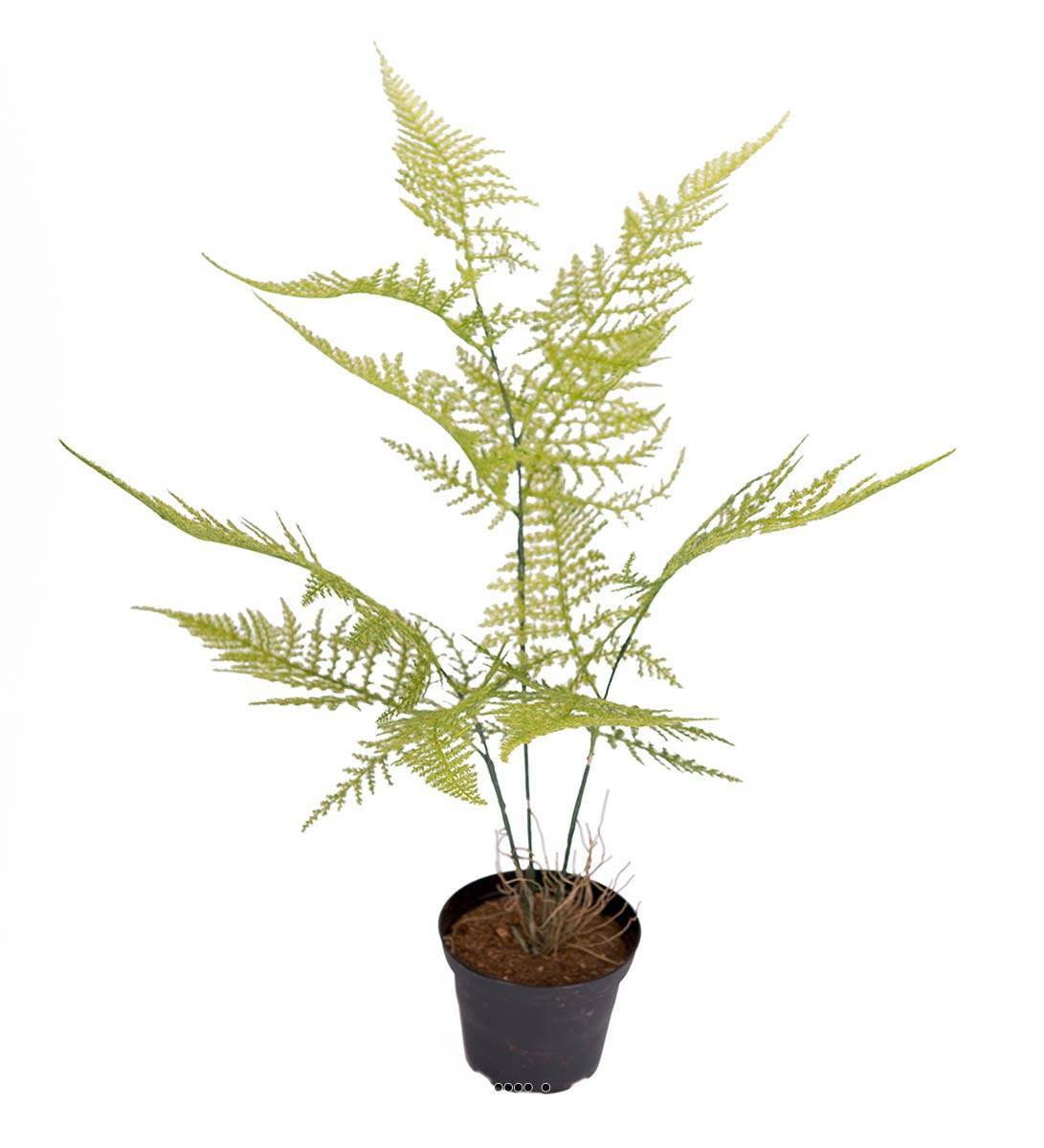 Artificielles - Asparagus Plumosus plante verte factice en pot H45cm très originale - Imagen 1