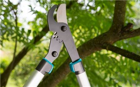 Gardena - Coupe-branches EnergyCut 750A lame à enclume Gardena - Imagen 2