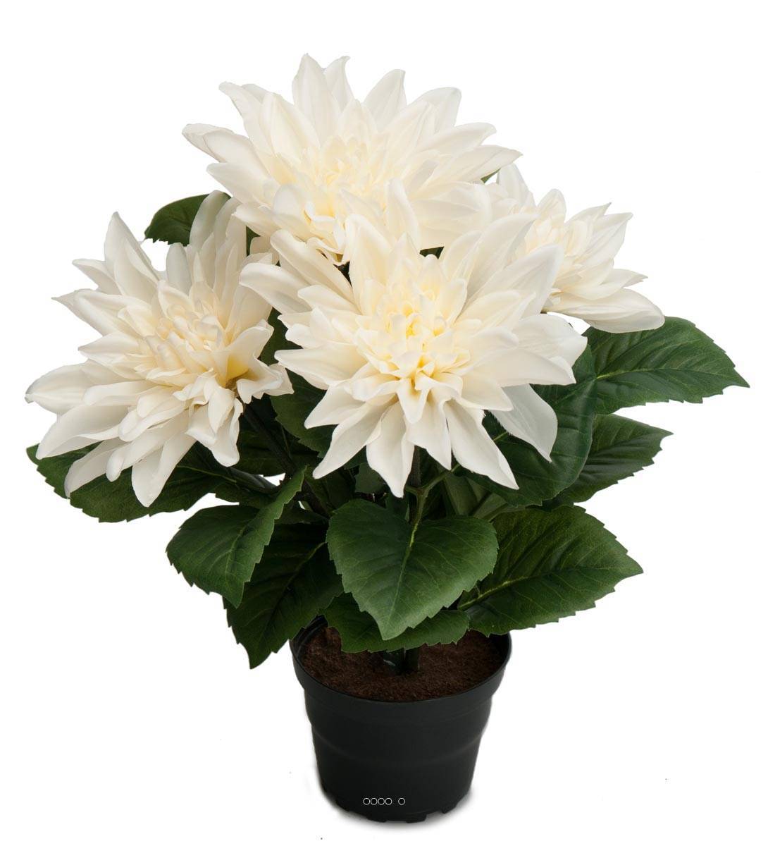 Artificielles - Dalhia commun artificiel en pot, 5 fleurs, H 30 cm Crème - couleur: Crème - Imagen 1