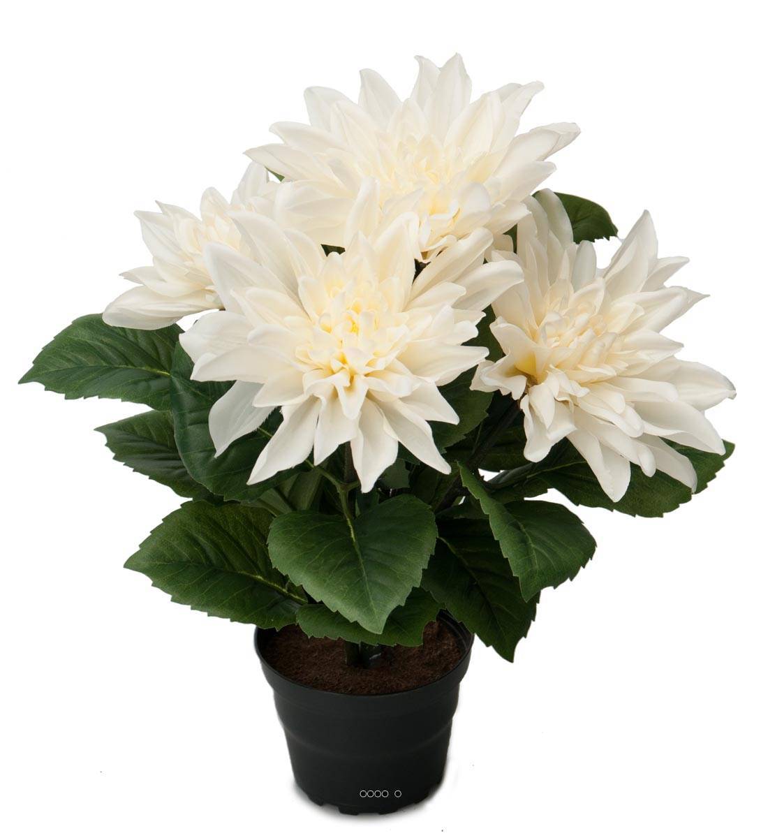 Artificielles - Dalhia commun artificiel en pot, 5 fleurs, H 30 cm Crème - couleur: Crème - Imagen 2