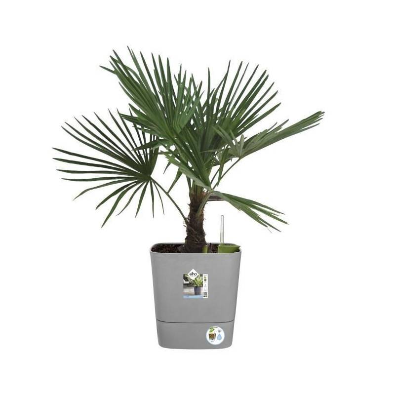 Elho - Elho - Pot De Fleurs  -  Greensense Aqua Care Carre 38 - Ciment Clair - Interieur/exterieur - O 38 X H 38.9 Cm - Image 3