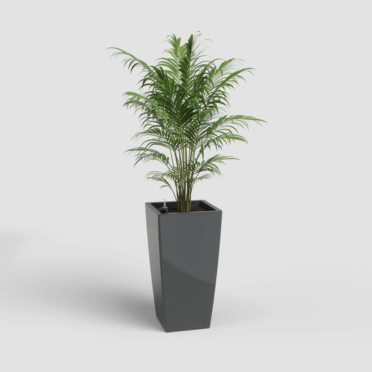 Artevasi - Pot à plantes carré à arrosage automatique PISA anthracite brillant 33 x 33 x 61 cm - ARTEVASI - Imagen 2