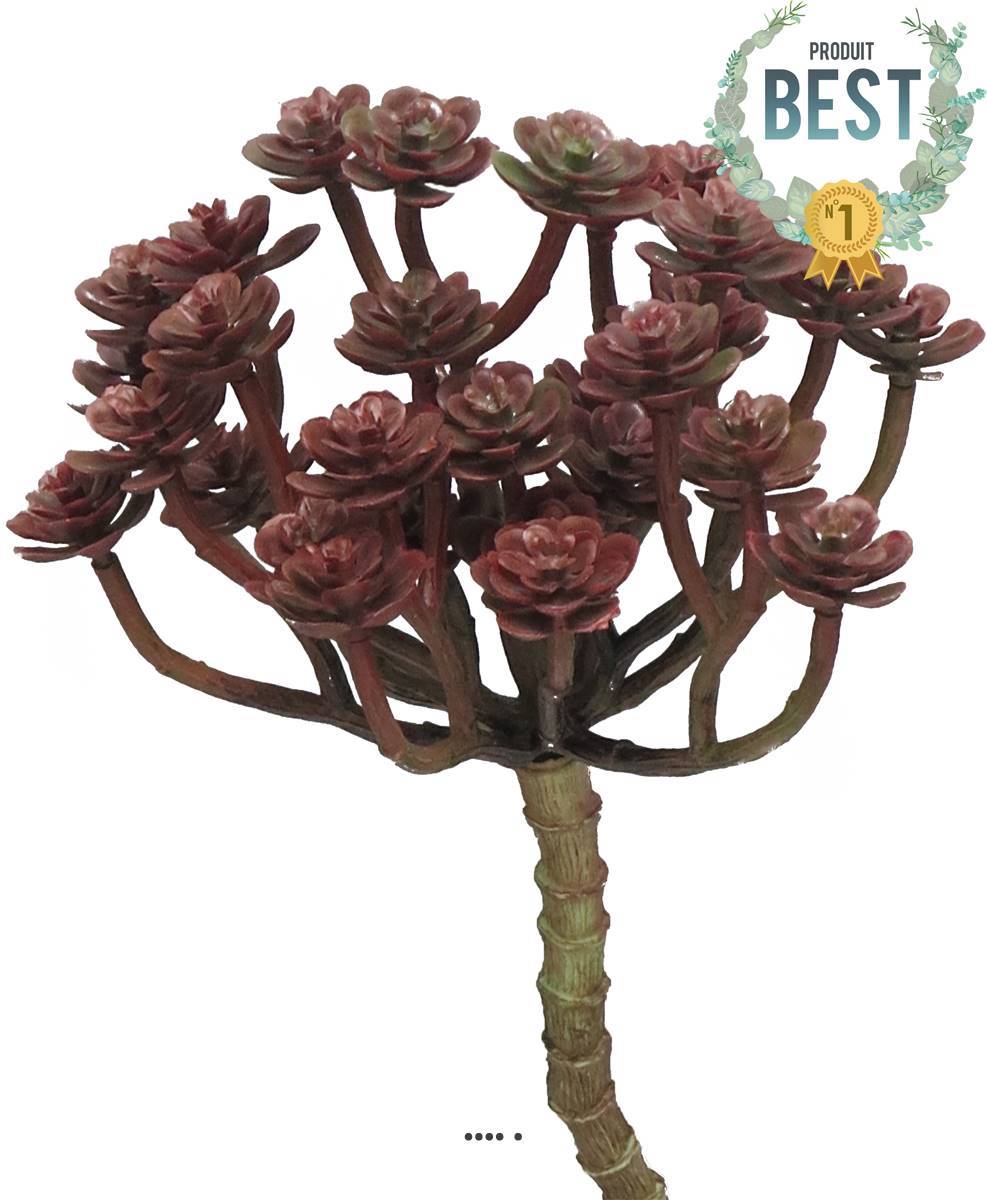 Artificielles - Mini têtes d'echeveria factices en piquet H22 cm D12cm Bourgogne -BEST - couleur: Bourgogne - Imagen 1