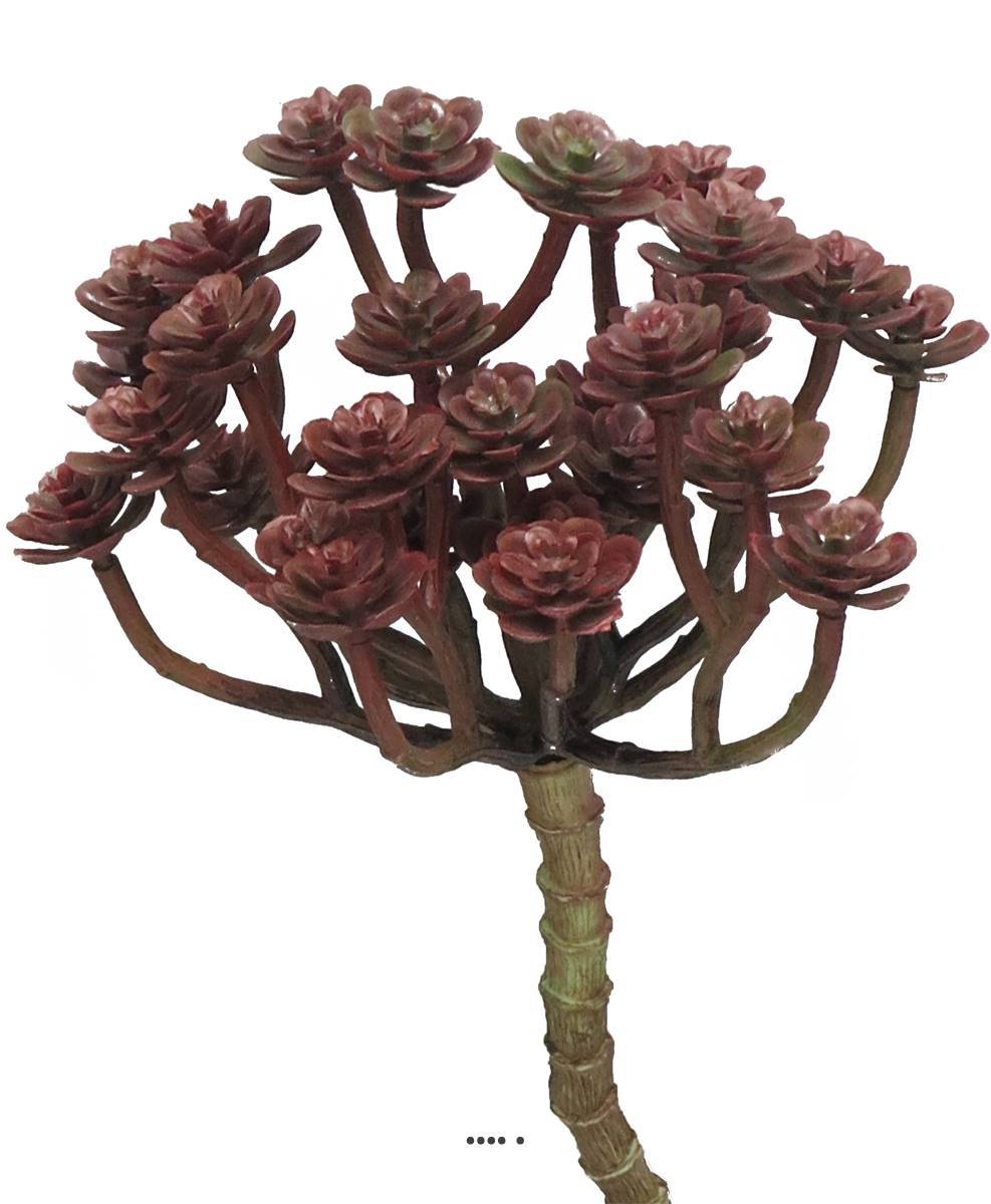 Artificielles - Mini têtes d'echeveria factices en piquet H22 cm D12cm Bourgogne -BEST - couleur: Bourgogne - Imagen 2