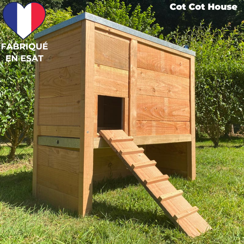 Poulailler 2 poules pratique et solide - modèle sebright - Cot Cot House