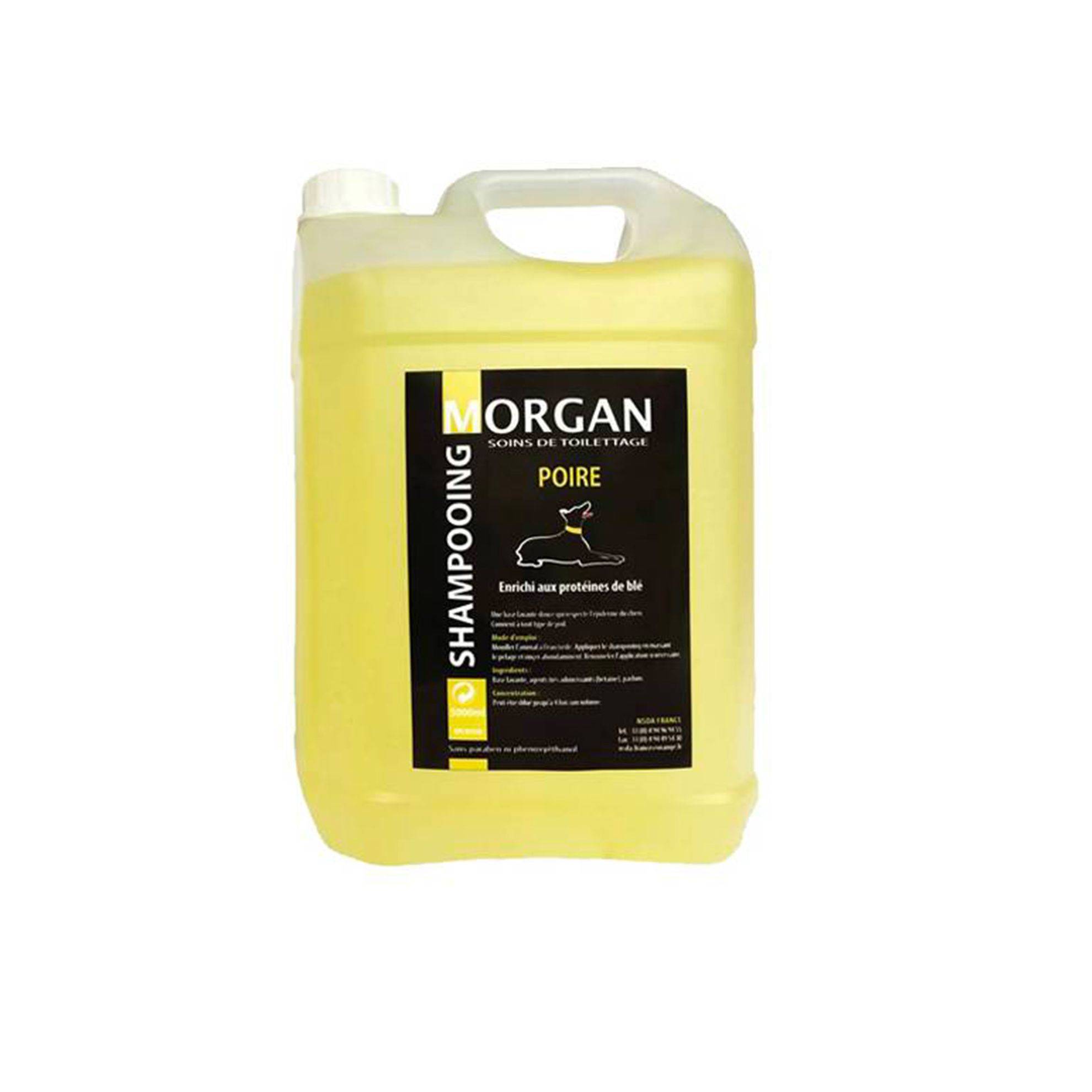 Shampoing protéiné Poire Morgan : 5 litres MORGAN