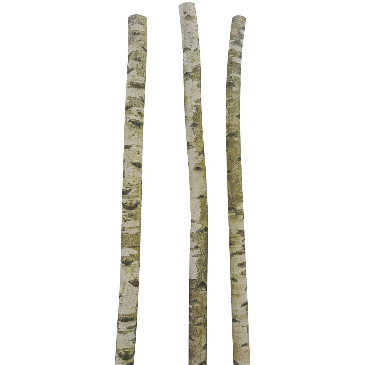 Aubry Gaspard - Troncs de bouleau décoratifs (Lot de 3) - Image 1