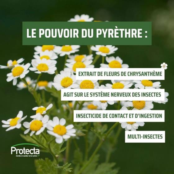 Armosa - Lot de 5 recharges pour diffuseur d'insecticides - Imagen 2