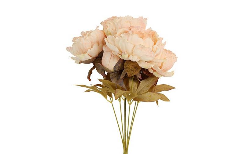 Pique-fleurs Paeonia Pia crème-15x15x46CM