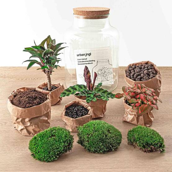 Kit Terrarium - D21 H30cm - Image 4