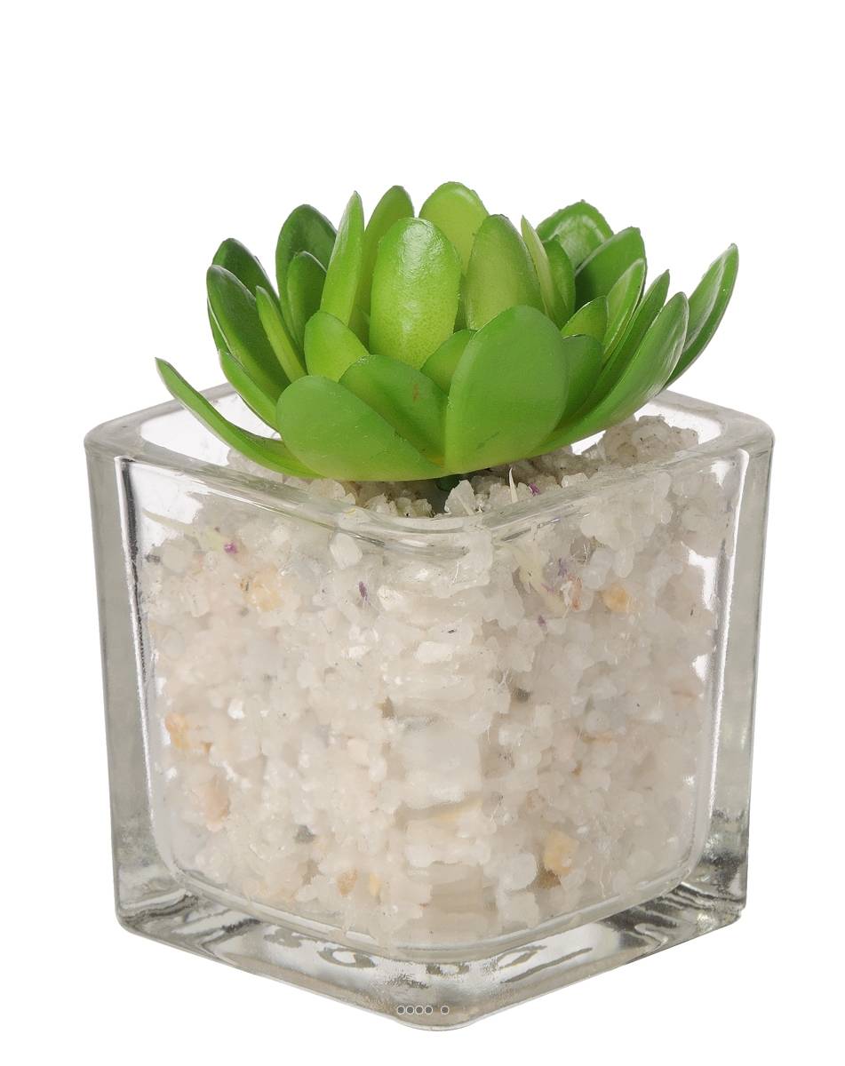 Artificielles - Echeveria artificielle succulente en pot verre et cailloux blanc - couleur: Vert - div: C