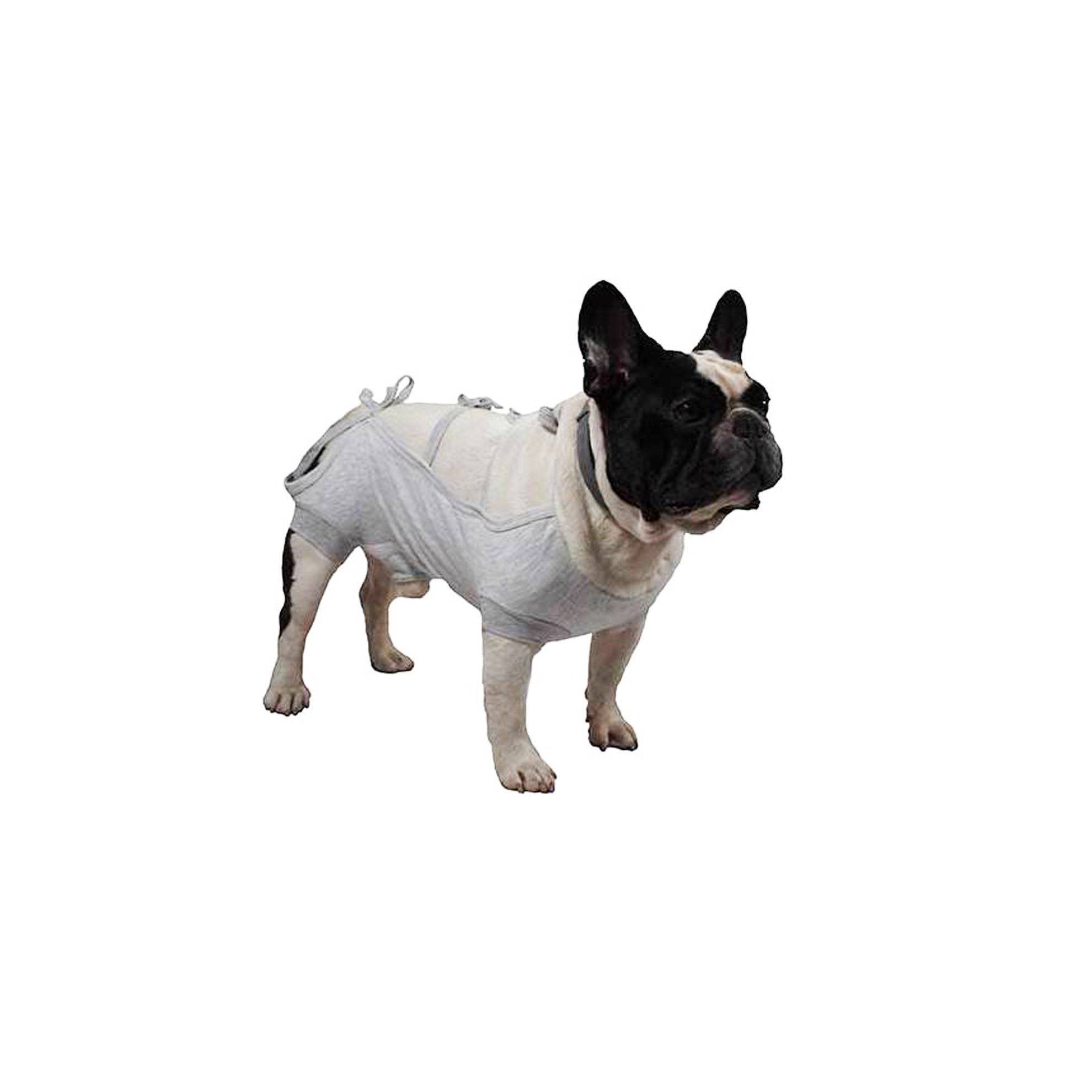 Tee-shirt post opératoire chien mâle : M GRANDE FINALE