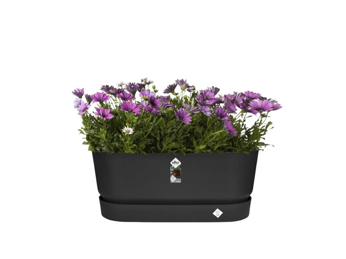 Elho - Planteur Ovale Greenville - Plastique - Avec Roulettes - ø60 - Noir - Image 6