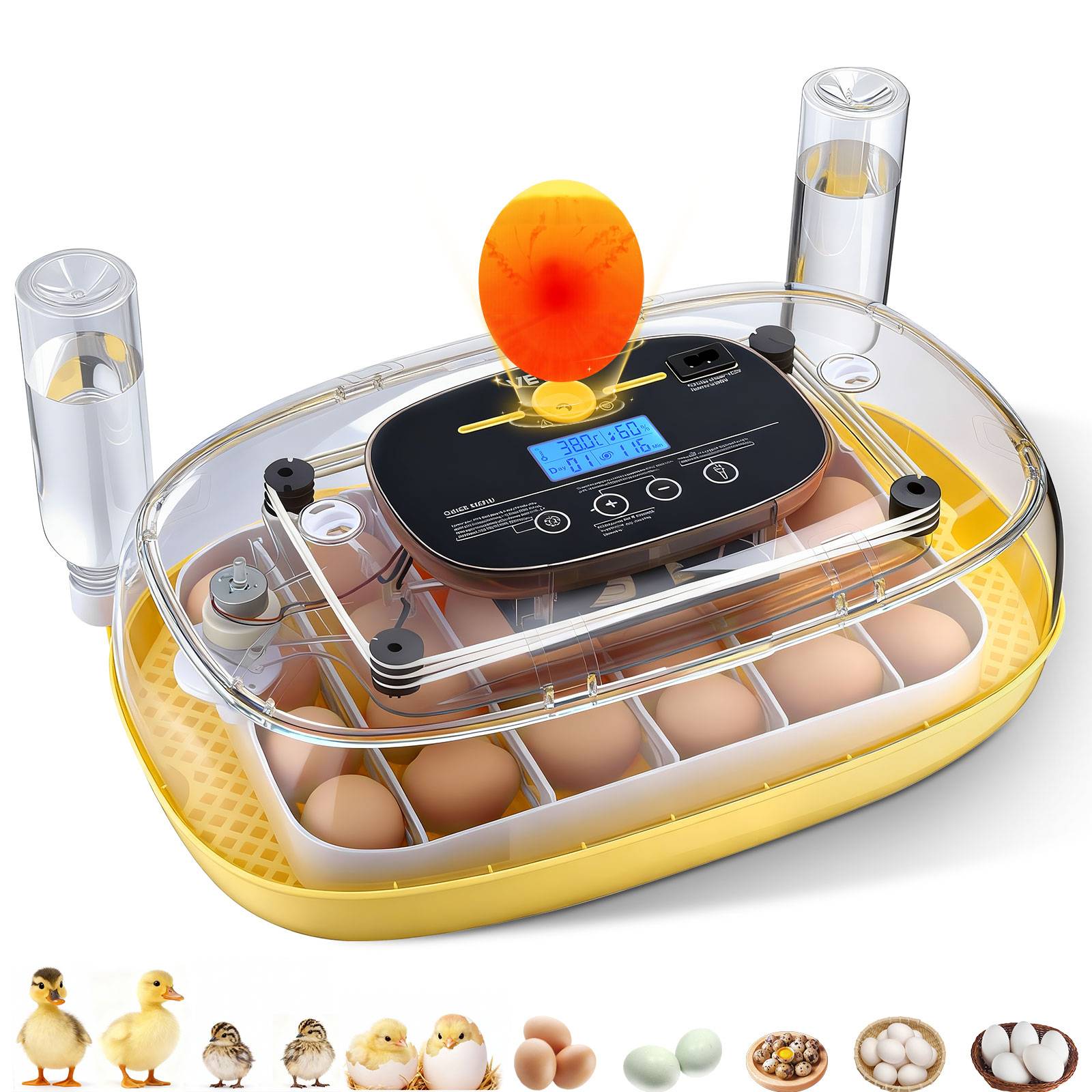 Vevor - VEVOR Couveuse Œuf Automatique Incubateur 24 Œufs pour Éclosion Œufs Poussins