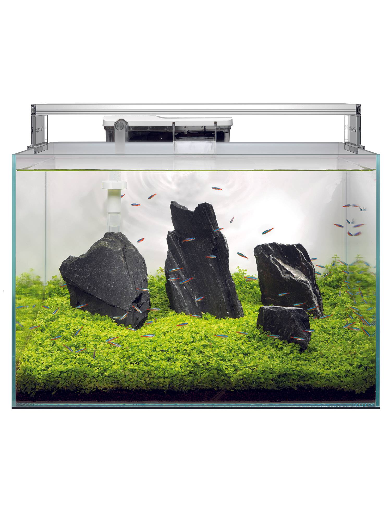 Superfish - Aquarium Scaper 90 kit verre cristal 60 x 40 x 38 cm - SUPERFISH