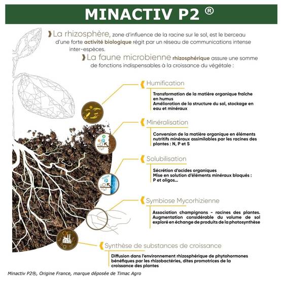 SOLU’CONTROL - 250 g de Minactiv P2® – Engrais phosphate naturel – Avec Calcimer® marin et stimulateur microbien – Racines solides, gazon dense - Image 6