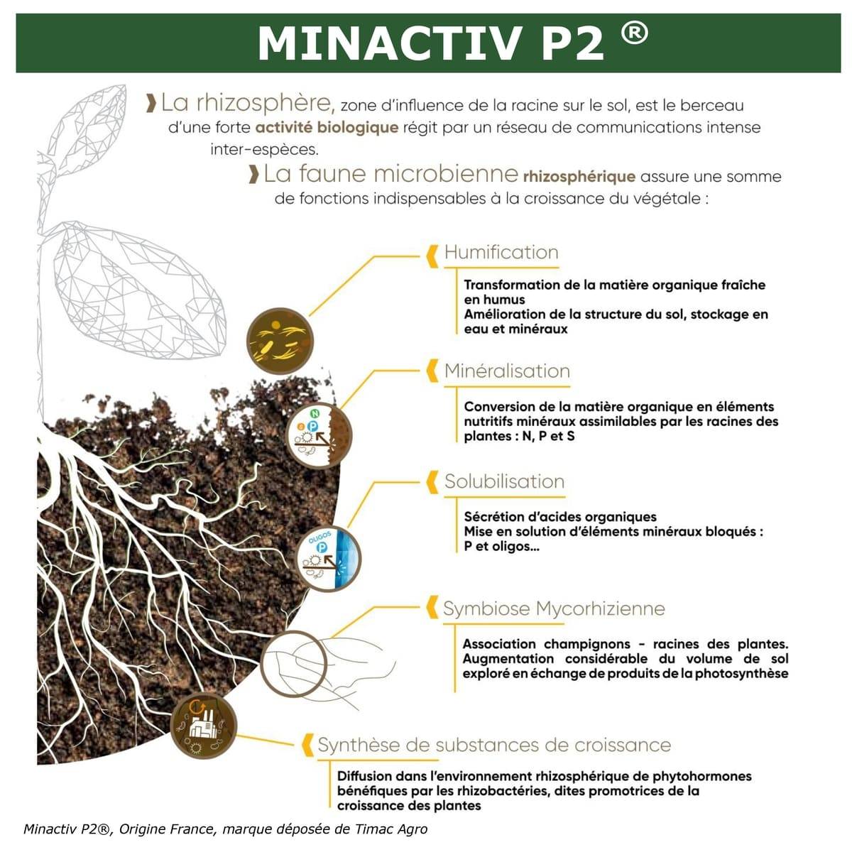 SOLU’CONTROL - 250 g de Minactiv P2® – Engrais phosphate naturel – Avec Calcimer® marin et stimulateur microbien – Racines solides, gazon dense - Image 6