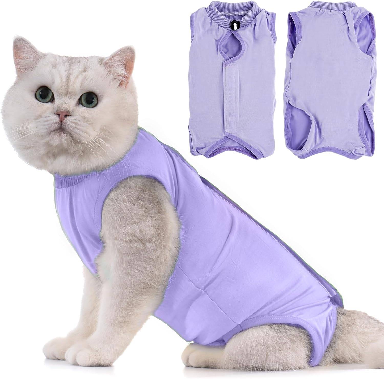 Combinaison de Récupération pour Chat Anti Léchage Lavande M