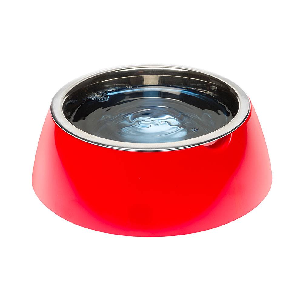 Ferplast - Ferplast Gamelle pour chien Gamelle pour chat Jolie - Gamelles pour chien en acier inoxydable pour l'eau et la nourriture avec support en plastique, - Imagen 4