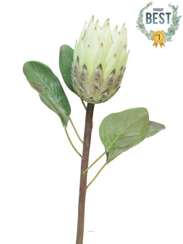 Artificielles - Protea, fleur des lacs, artificielle en tige, H 67 cm Crème - BEST - couleur: Crème - Imagen 1
