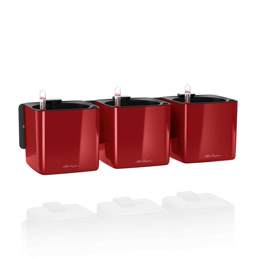 Lechuza - Cube Glossy Green Wall Home kit - 48x14x14 cm - rouge scarlet ultra brillant Lechuza