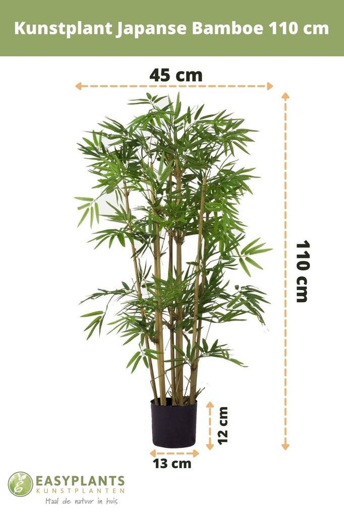 La Green Touch - Orchidée Bordeaux et son pot- La Green Touch Cognac - Hauteur 35cm - Imagen 4