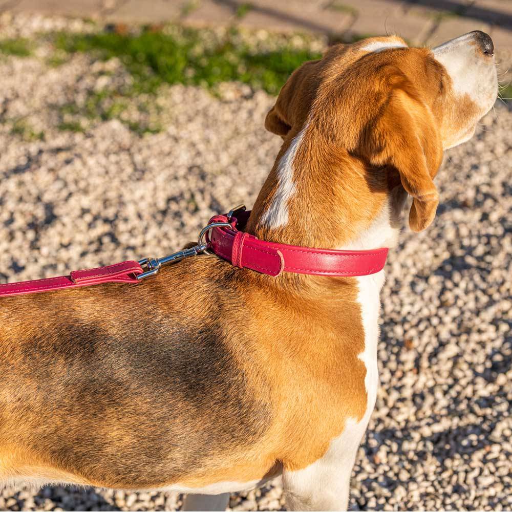 Ferplast - Laisse pour Chiens VOGUE G20/120, Cuir Véritable, Mousqueton en Métal, Rouge - Imagen 3