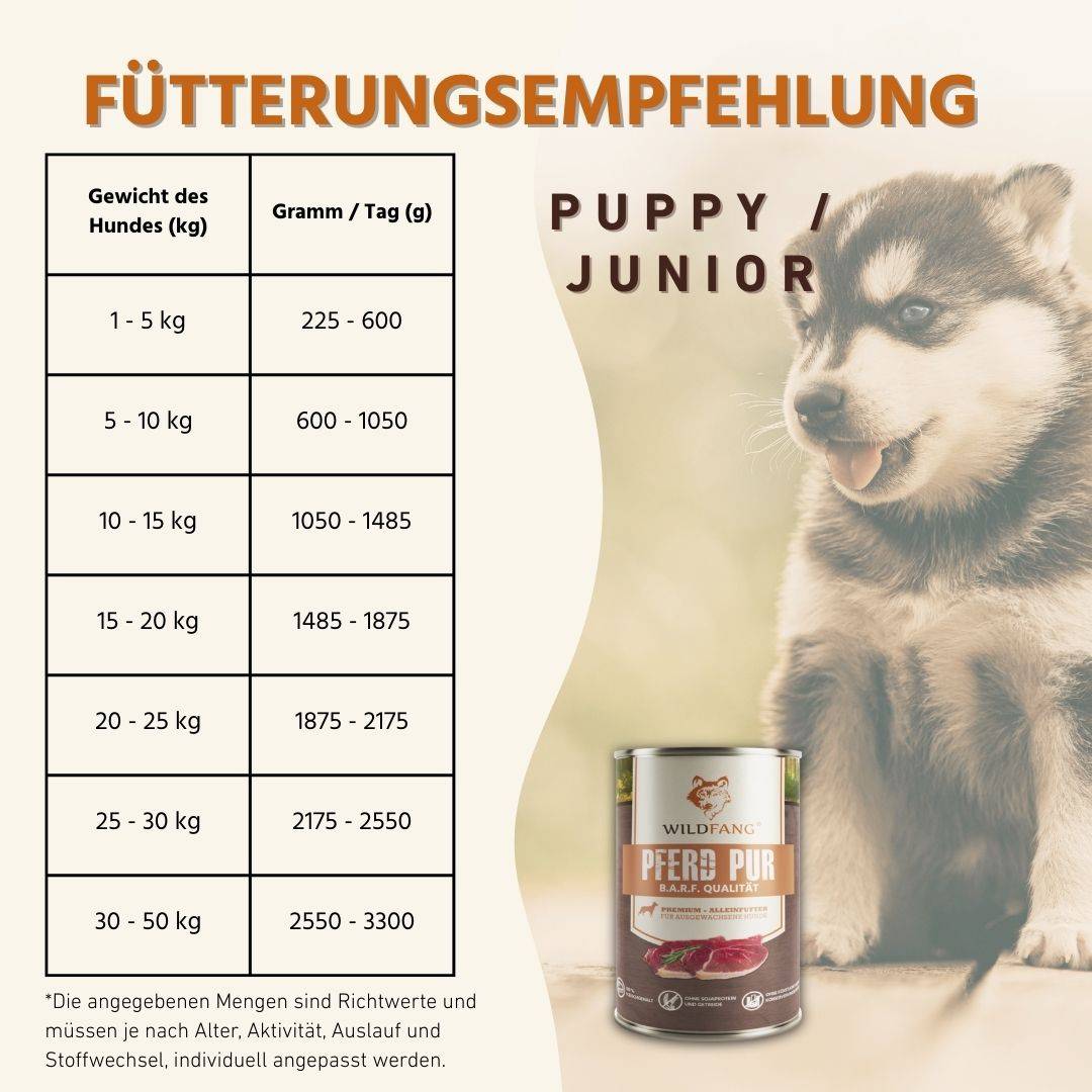Wildfang - Wildfang pâtée humide adulte sans céréales 6 x 800 g — recette équilibrée, sans additifs artificiels, adaptée aux chiens sensibles - Image 6