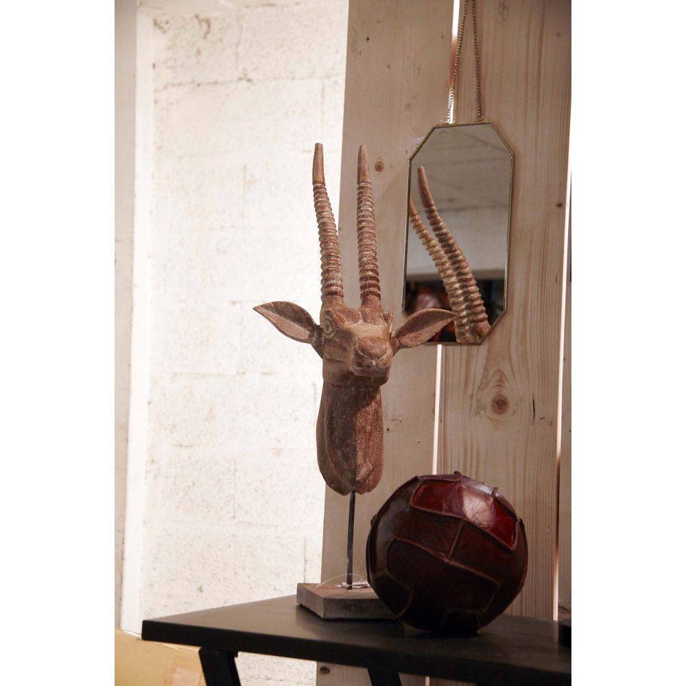Aubry Gaspard - Trophée d'antilope - Imagen 2