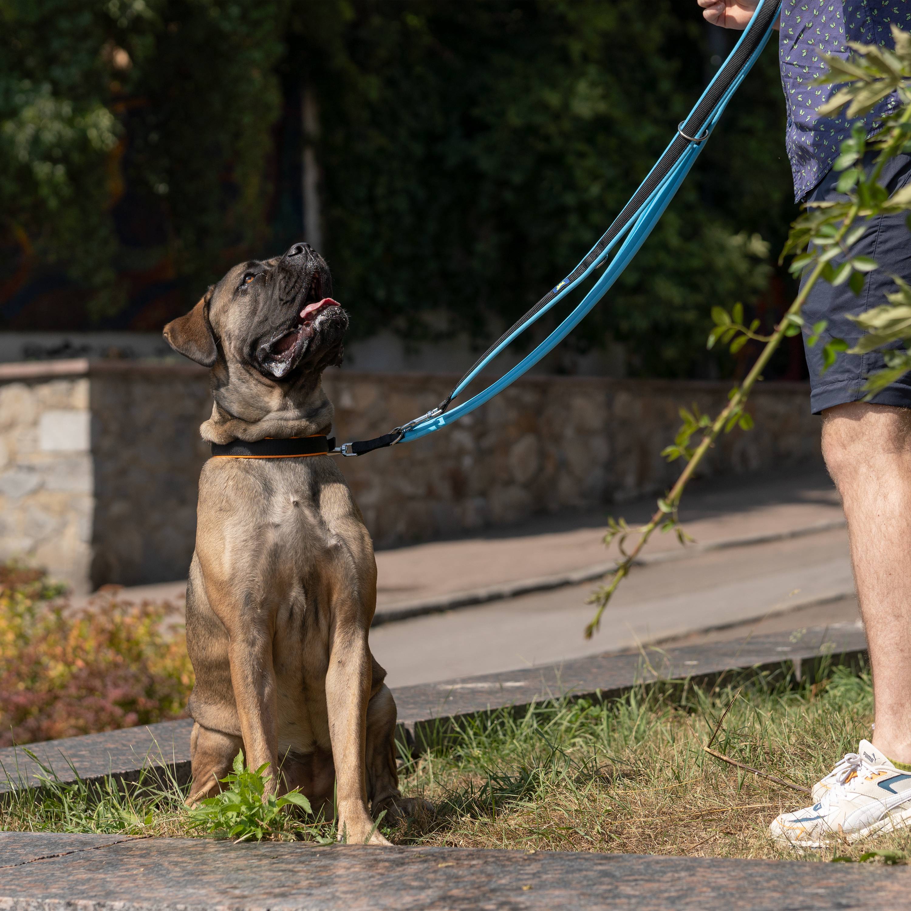 Ferplast - Ferplast Laisse pour chien Ferplast ERGOFLUO, Laisse de dressage pour chien taille grande, Poignée Rembourrée, Mousqueton en métal. Longueur réglable. - Imagen 5