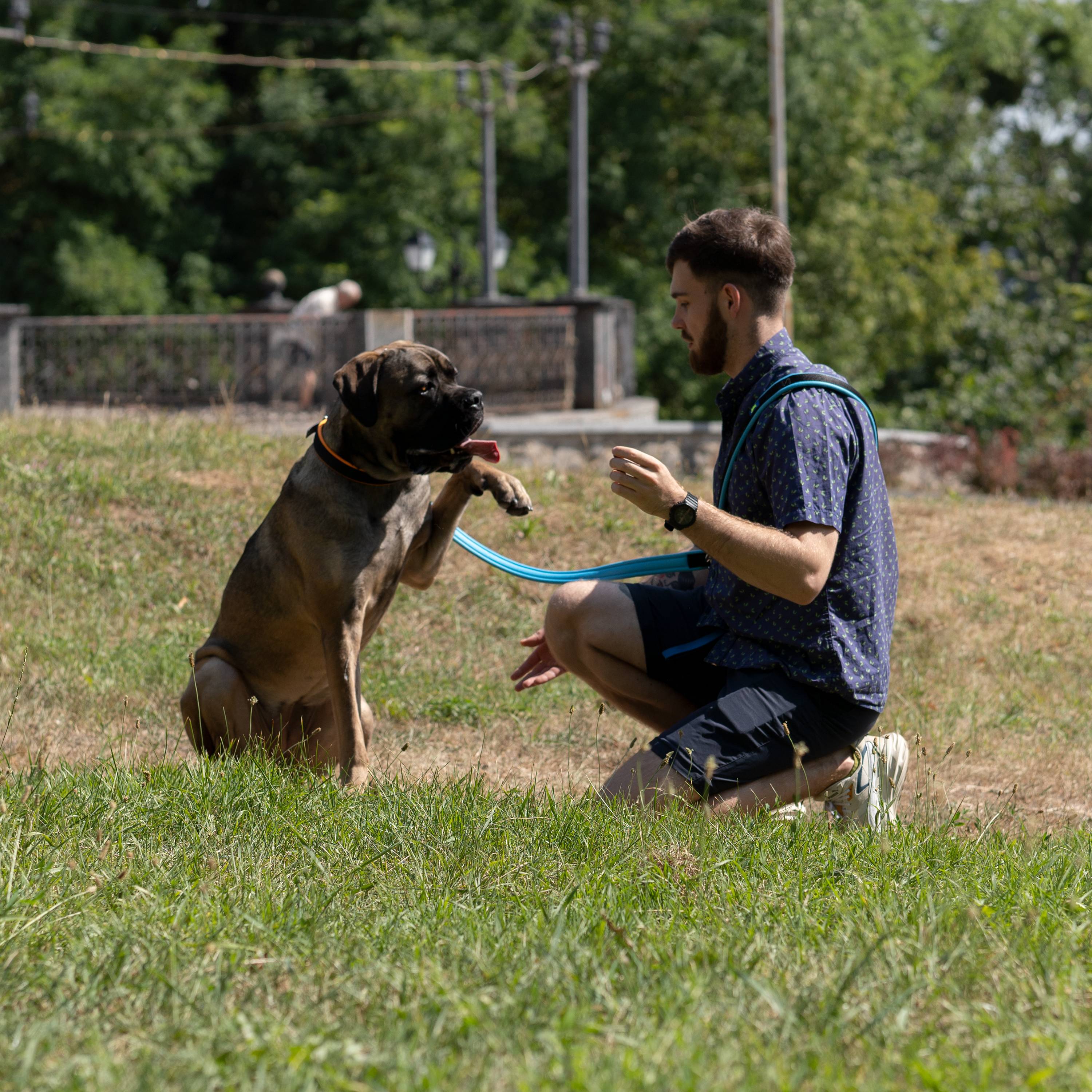 Ferplast - Ferplast Laisse pour chien Ferplast ERGOFLUO, Laisse de dressage pour chien taille grande, Poignée Rembourrée, Mousqueton en métal. Longueur réglable. - Imagen 7