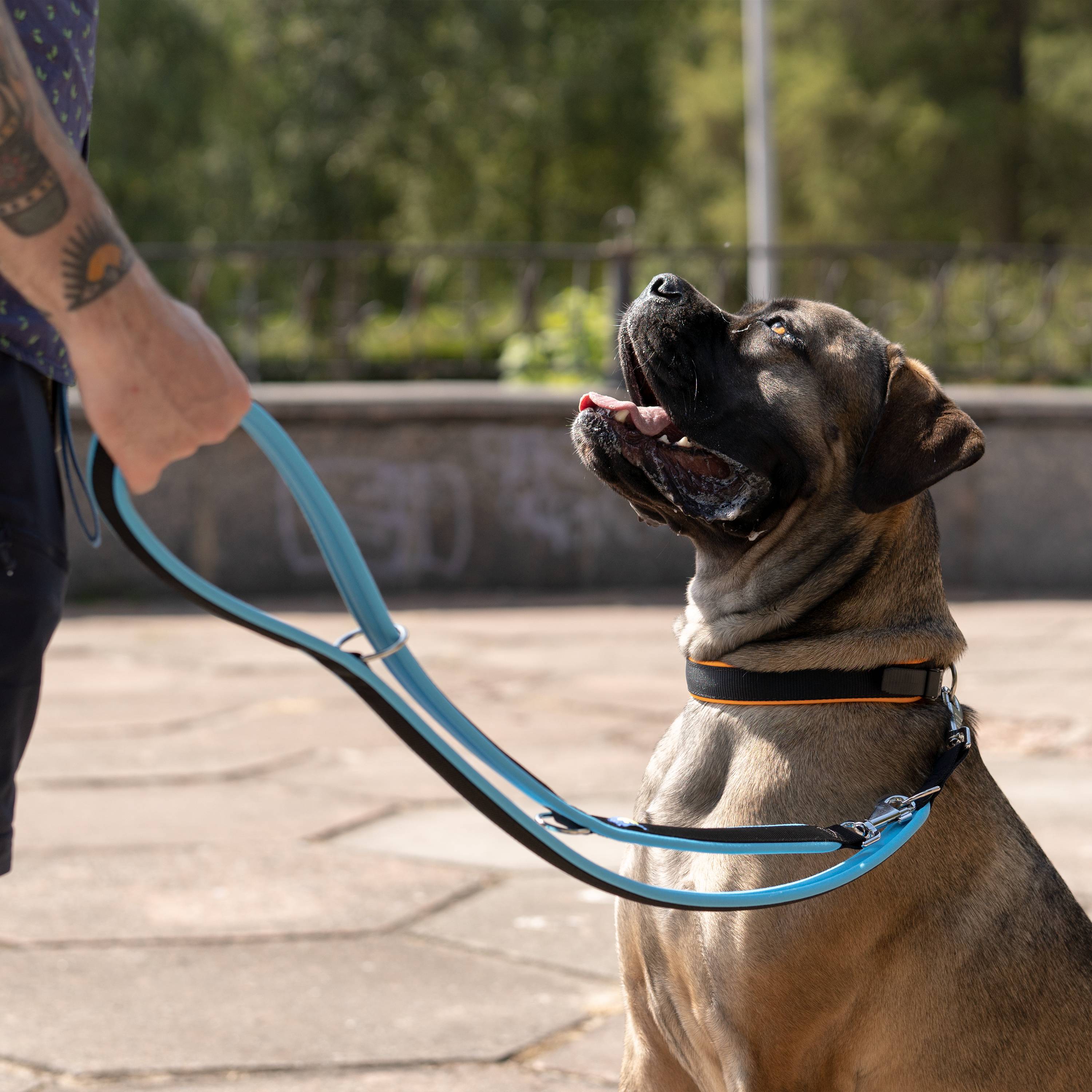 Ferplast - Ferplast Laisse pour chien Ferplast ERGOFLUO, Laisse de dressage pour chien taille grande, Poignée Rembourrée, Mousqueton en métal. Longueur réglable. - Imagen 6
